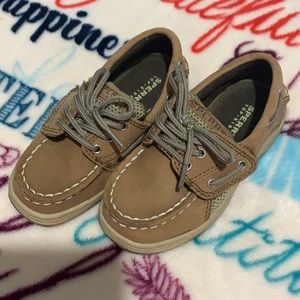 Toddler boys Sperry top-side size 8